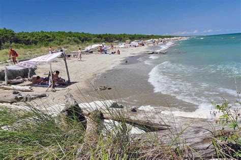 trans lido di dante|Lido di Dante